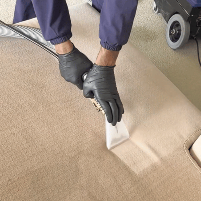 Steam carpet cleaning technician at work in Auckland